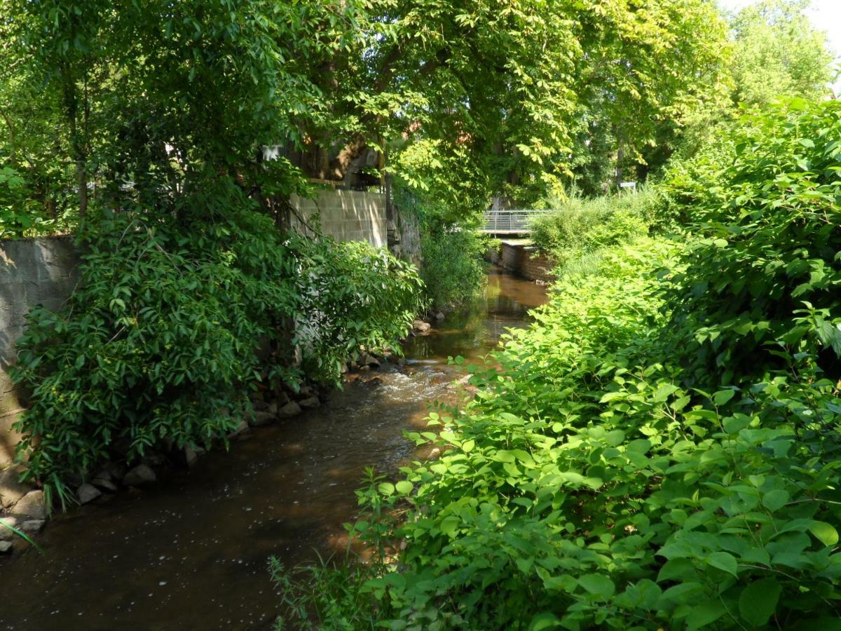 Ferienwohnung Orchidee Germersheim Luaran gambar